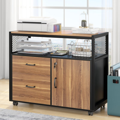 15.74"W X 29.92"H Mobile 2 Drawer File Cabinet With Doors by XDYZ